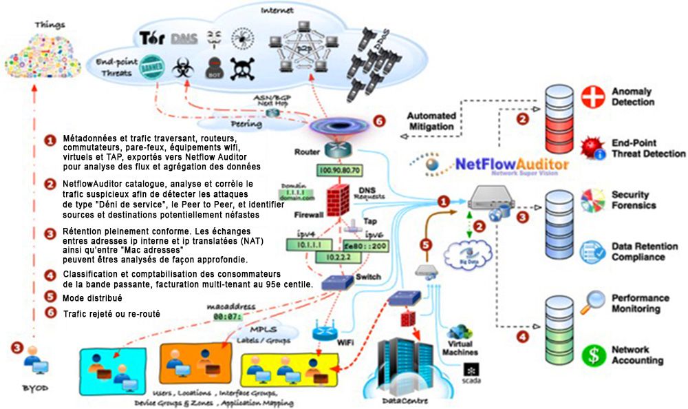 NetFlow Auditor - Aperçu NetFlow Auditor – Aperçu